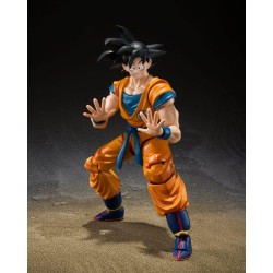 Dragon Ball figurine S.H....