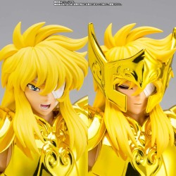 myth cloth ex aquarius hyoga inheritor of the gold cloth