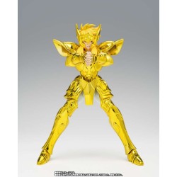 myth cloth ex aquarius hyoga inheritor of the gold cloth