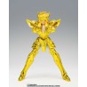 myth cloth ex aquarius hyoga inheritor of the gold cloth