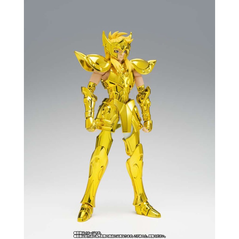 myth cloth ex aquarius hyoga inheritor of the gold cloth