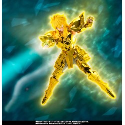 myth cloth ex aquarius hyoga inheritor of the gold cloth