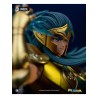 Saint seiya aquarius camus 1/10 statue
