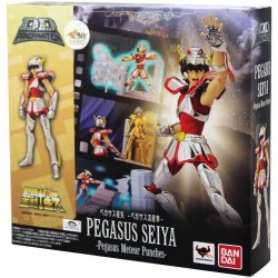 Pégase Seiya DD Panoramation