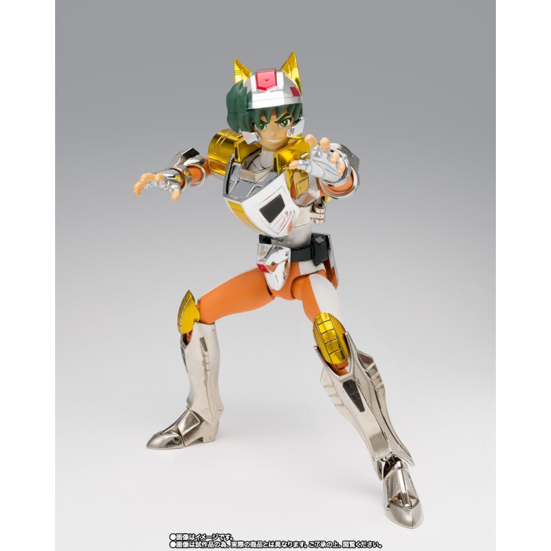Daichi du Renard Steel Landcloth Revival