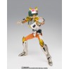Daichi du Renard Steel Landcloth Revival