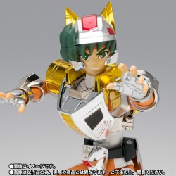 Daichi du Renard Steel Landcloth Revival