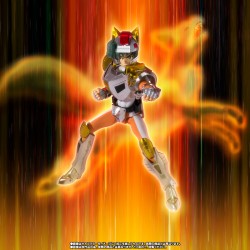 Daichi du Renard Steel Landcloth Revival
