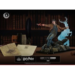 Harry Potter Tsume Art Ikigai