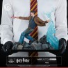 Harry Potter Tsume Art Ikigai