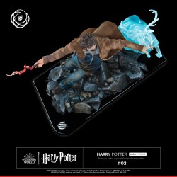 Harry Potter Tsume Art Ikigai