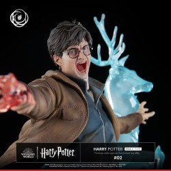 Harry Potter Tsume Art Ikigai