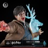 Harry Potter Tsume Art Ikigai