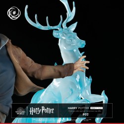 Harry Potter Tsume Art Ikigai