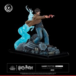 Harry Potter Tsume Art Ikigai