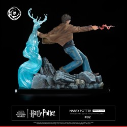 Harry Potter Tsume Art Ikigai