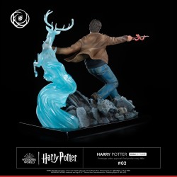 Harry Potter Tsume Art Ikigai