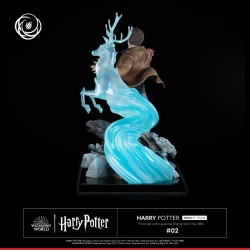 Harry Potter Tsume Art Ikigai