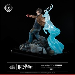 Harry Potter Tsume Art Ikigai
