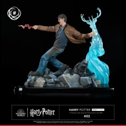 Harry Potter Tsume Art Ikigai