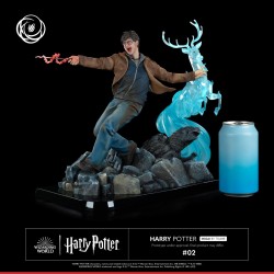 Harry Potter Tsume Art Ikigai