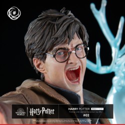 Harry Potter Tsume Art Ikigai