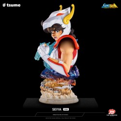 SEIYA - My Ultimate Buste by Tsume