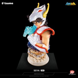 SEIYA - My Ultimate Buste by Tsume