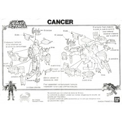 Notice Cancer FR pdf