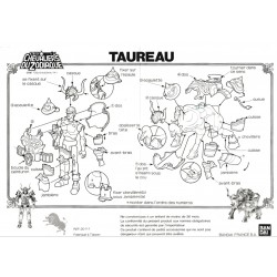 Notice Taureau FR pdf